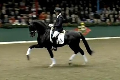 Vechta Hengstenshow 19.2.2012-01