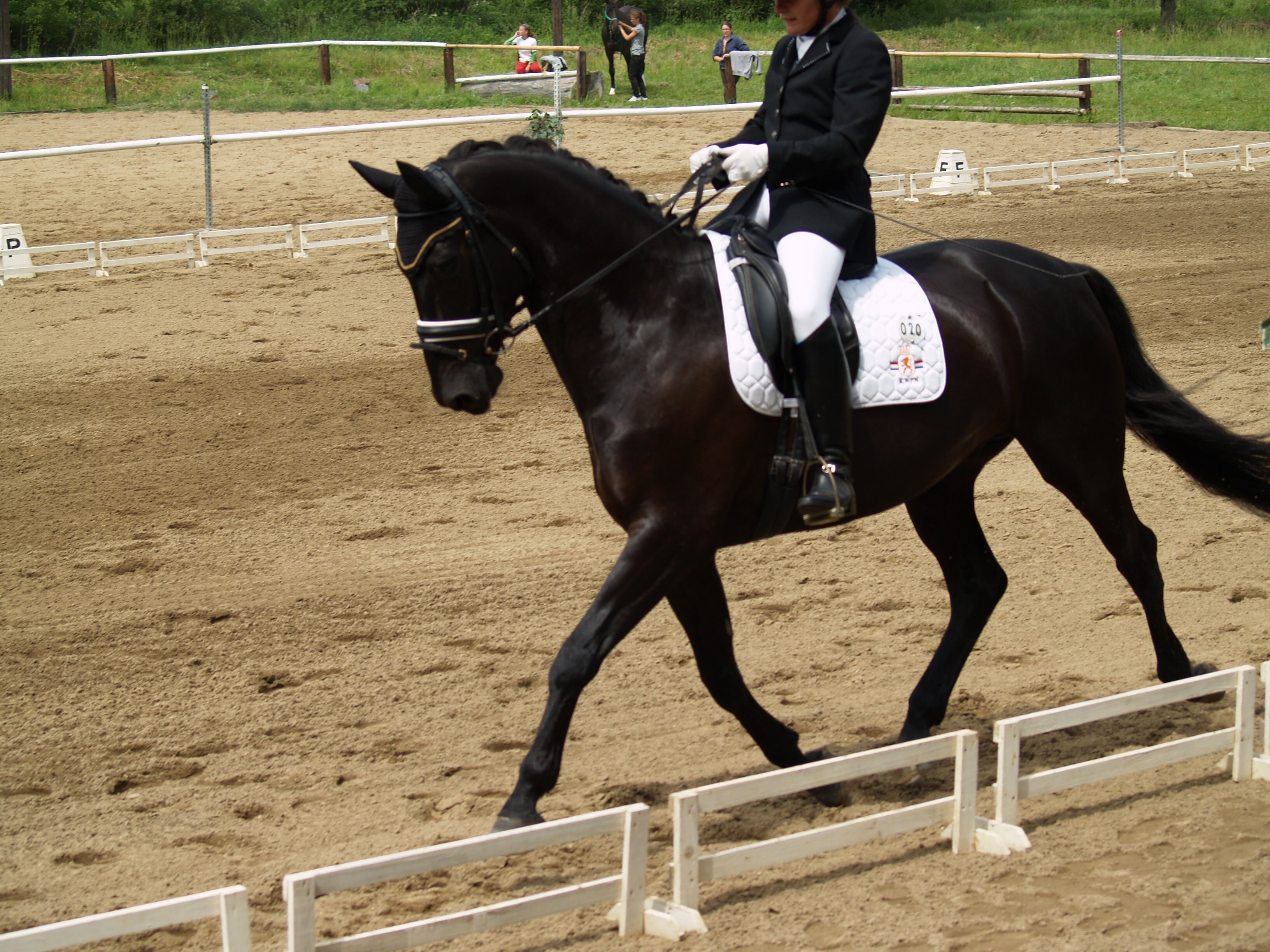 Heroutice 2012 - 13