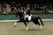 Vechta Hengstenshow 19.2.2012-03